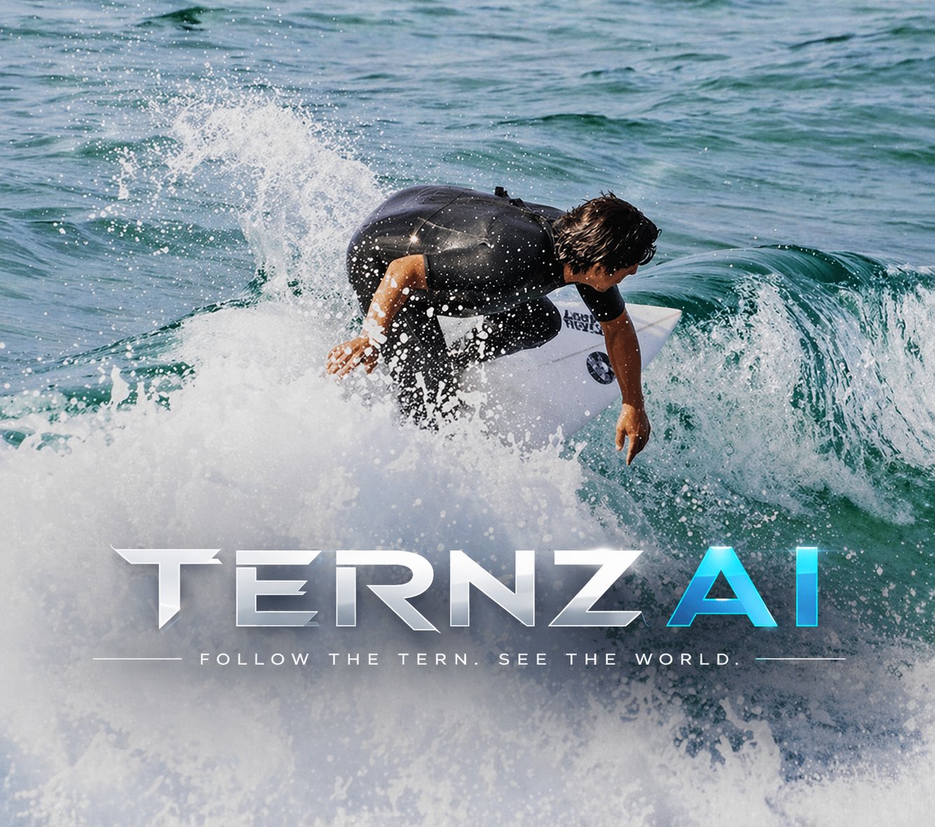 TernZ AI surfing